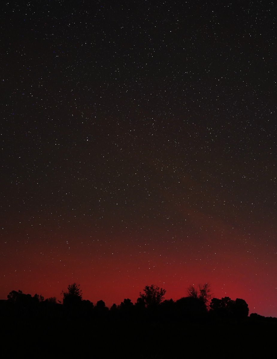 David BM tweet media