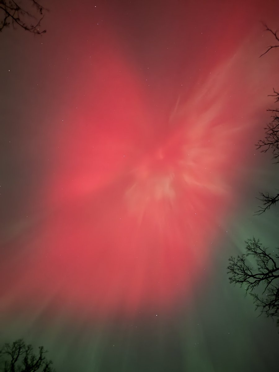 Natty Messick tweet media