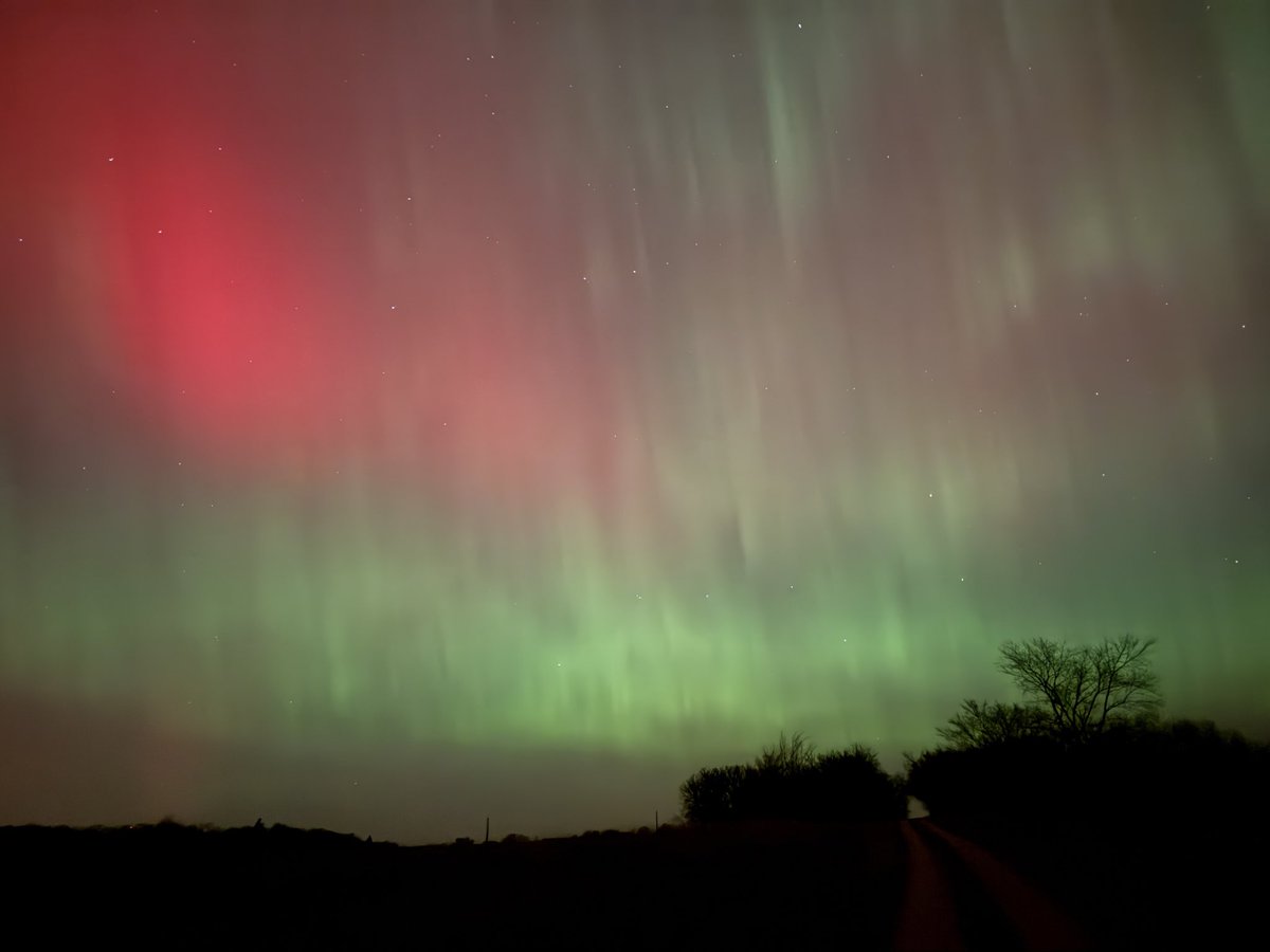 Natty Messick tweet media