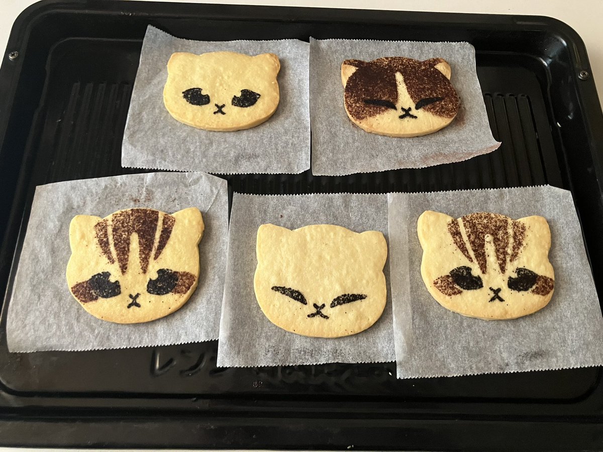 成功しました！

（ご報告が遅くなりすみません💦寝てただけです）