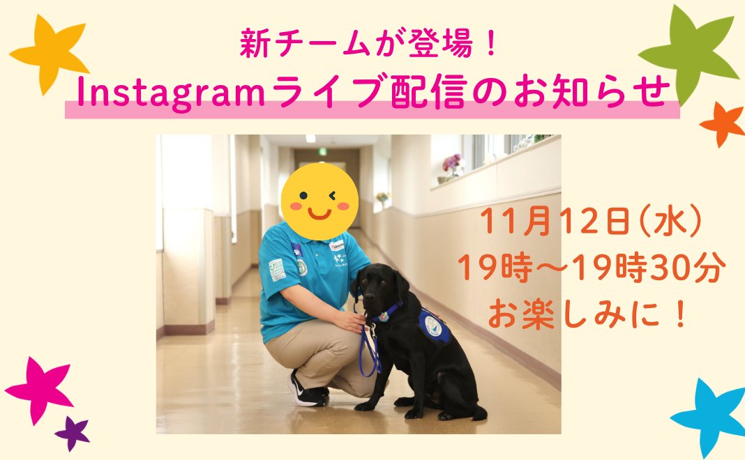 ⭐️インスタライブのお知らせ⭐️
待ちに待った新チームのお披露目です。
「アニー」の後任、「オリ」チームの新ハンドラーをご紹介。先輩ハンドラー４人も全員集合。新たなリターンもご紹介します。お楽しみに！
11月12日（水）19：00～19：30
ファシリティドッグ育成基金
readyfor.jp/projects/facil…