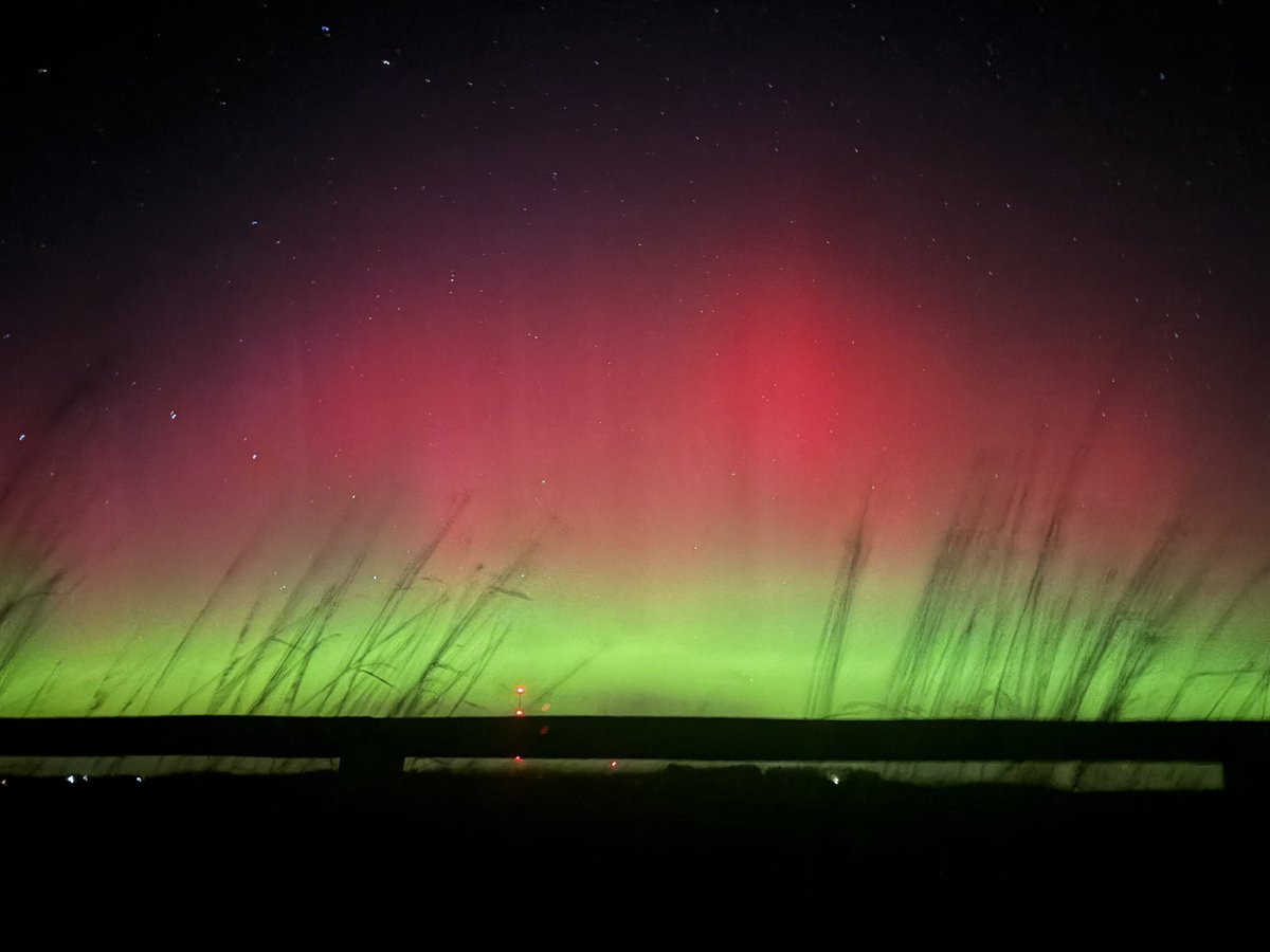 Parker Alvstad tweet media