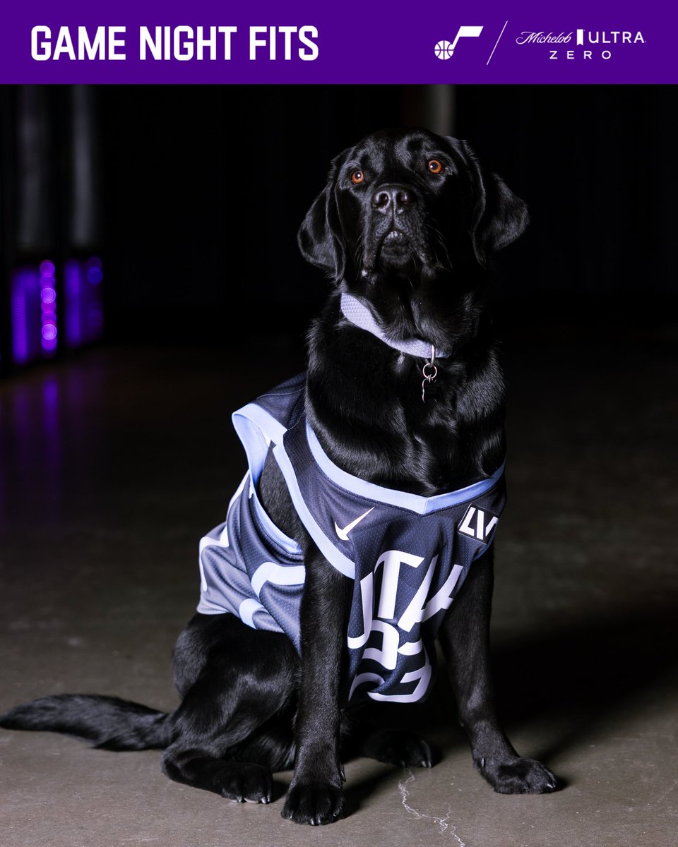 utahjazz's tweet image. new day, new fits, featuring everyone&apos;s favorite 🐶

#TakeNote presented by @MichelobULTRA