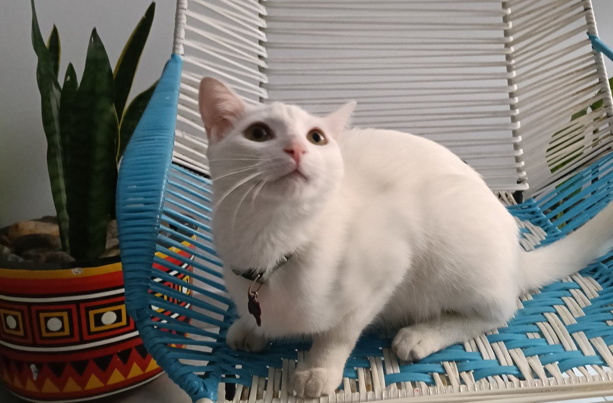 Que estoy enamorá, tragá de ti ❤️❤️❤️