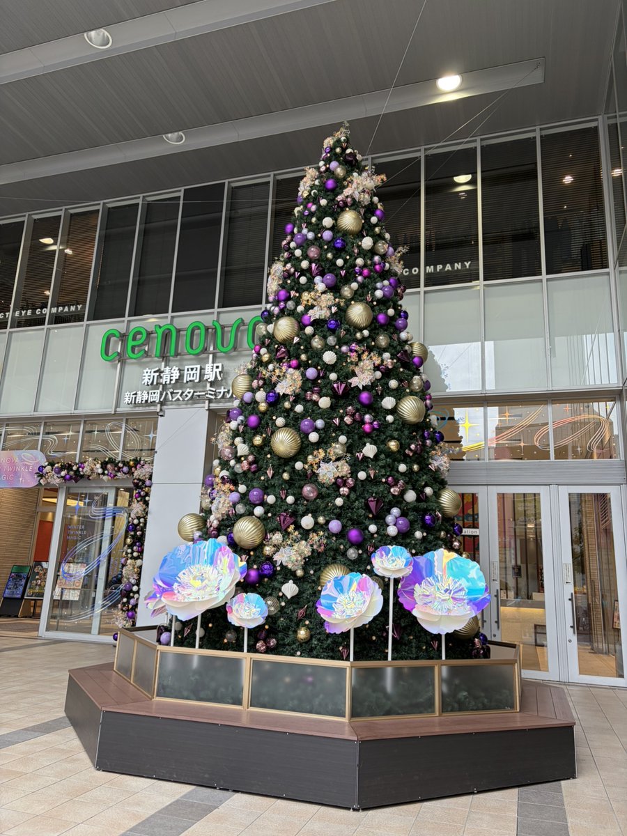 クリスマスツリーに魔法がかけられました🪄】 今年のコンセプトは