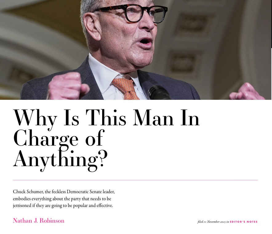 NathanJRobinson's tweet image. wrote about Schumer: currentaffairs.org/news/why-is-th…