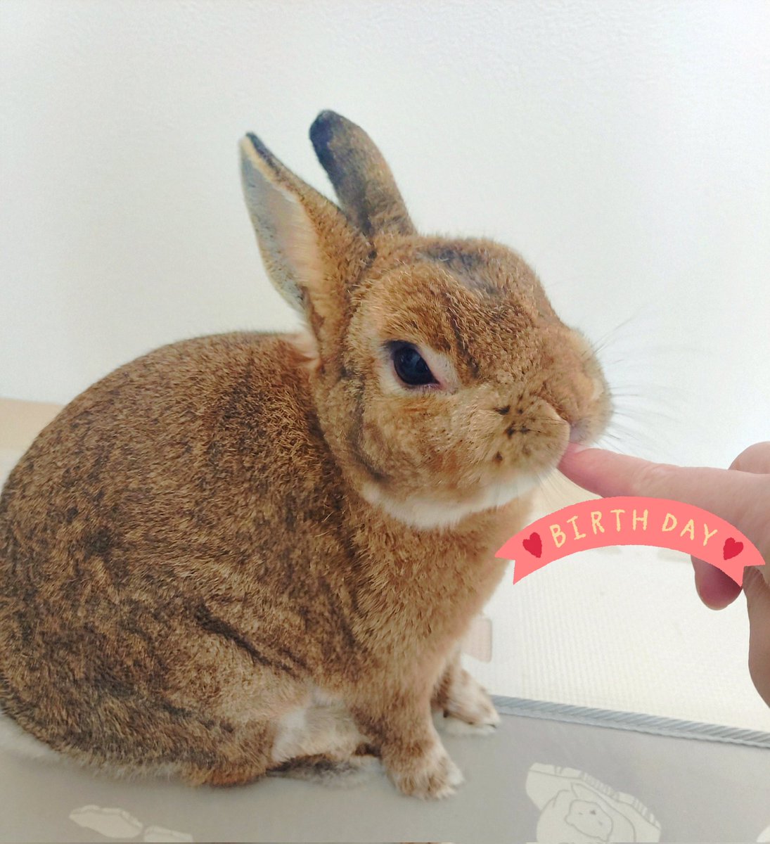 wIf1zsLq3zzP9T5's tweet image. 色々とあったから⋯
健康に過ごせるように
生活習慣を見直します(⁠ꏿ⁠﹏⁠ꏿ⁠;⁠)
#健康第一  #生活習慣改善