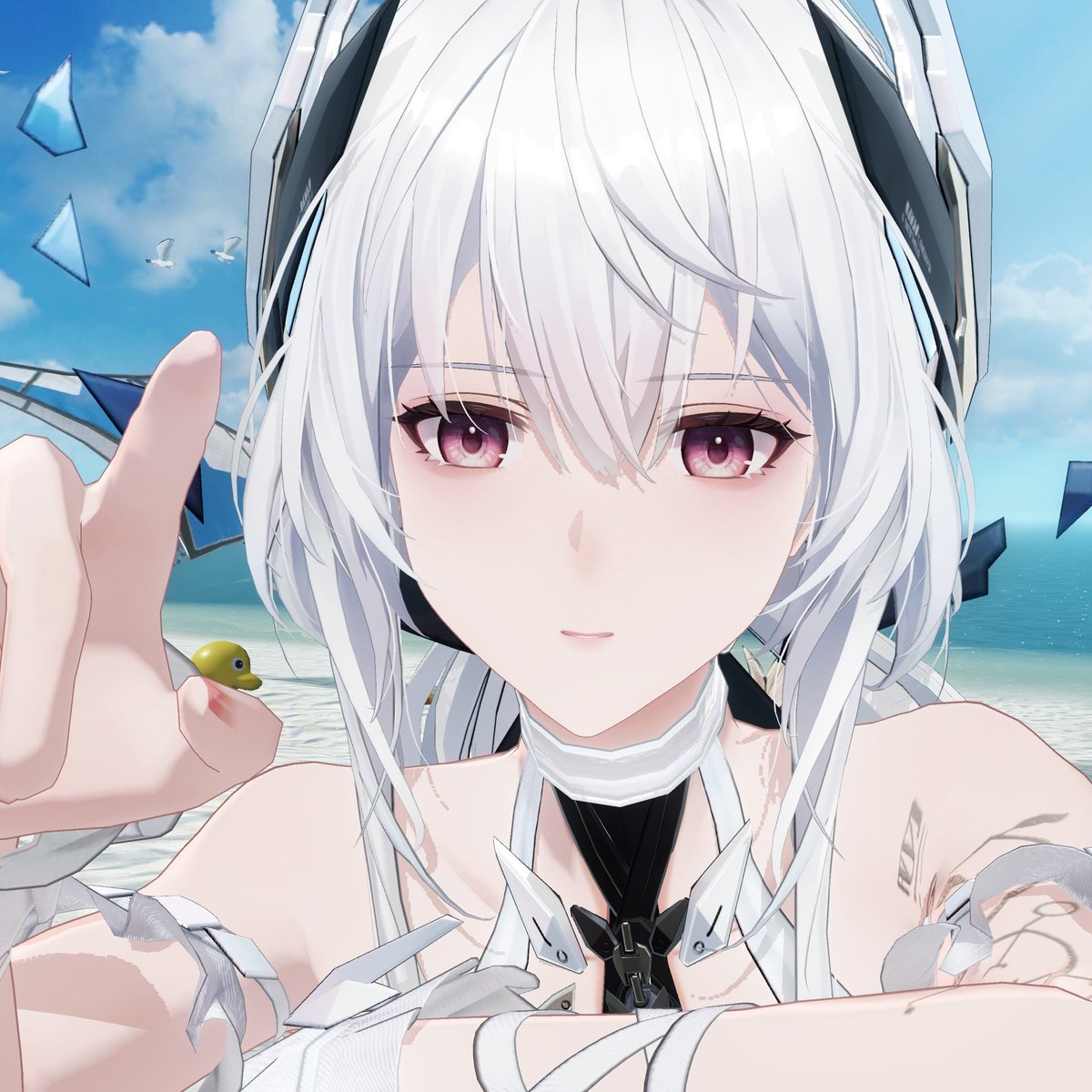 GRAY RAVENS (@grayravenspgr) on Twitter photo 