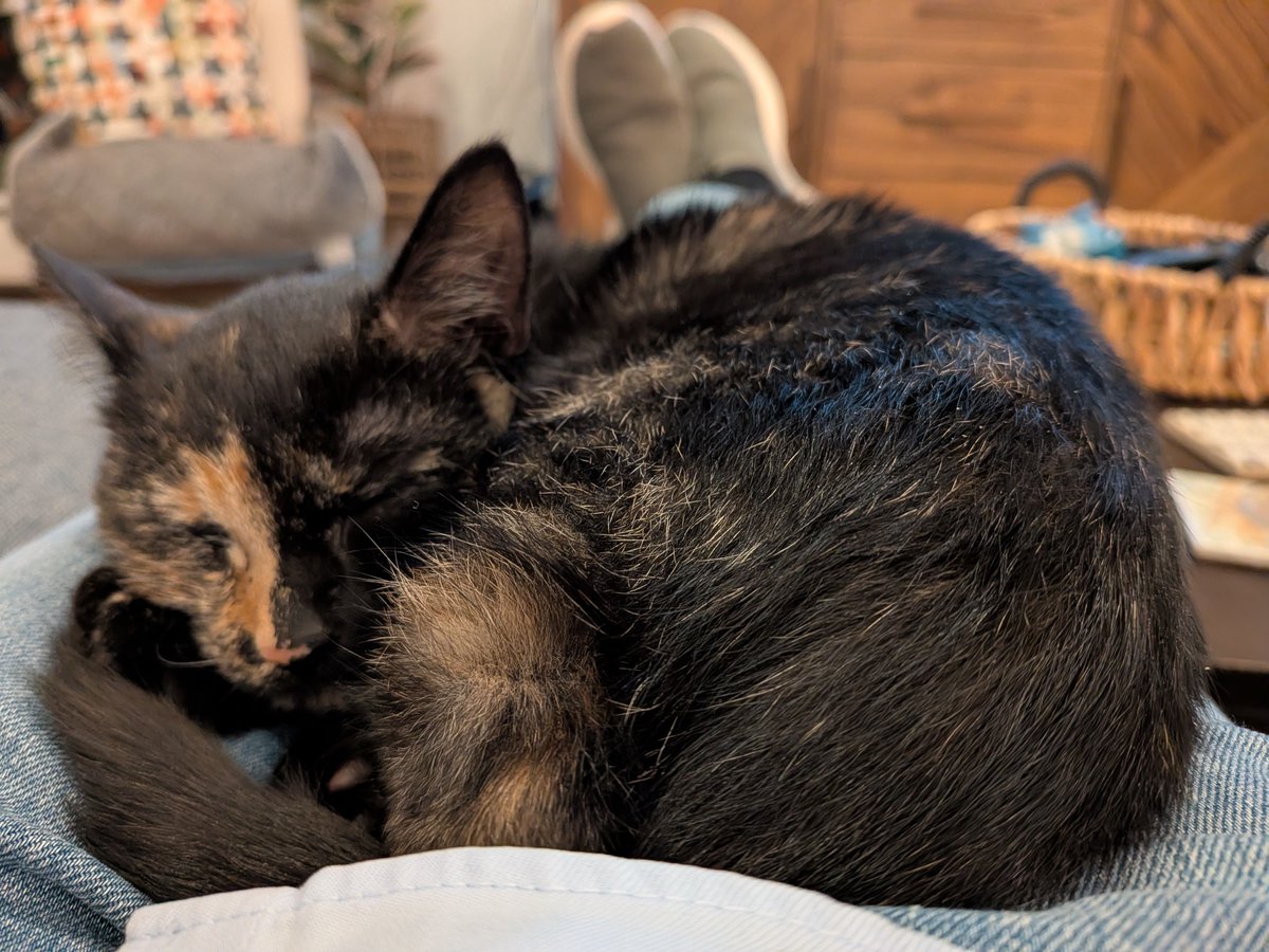 Gray Kimbrough tweet media