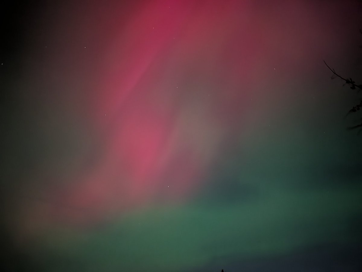 MattCianfarani's tweet image. Man.. I love Edmonton

Absolutely vivid Aurora this evening 

#Aurora #Abwx