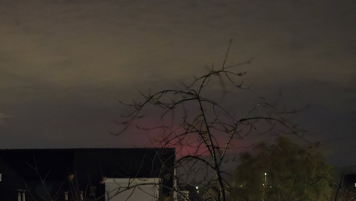 Tim Westerduin tweet media