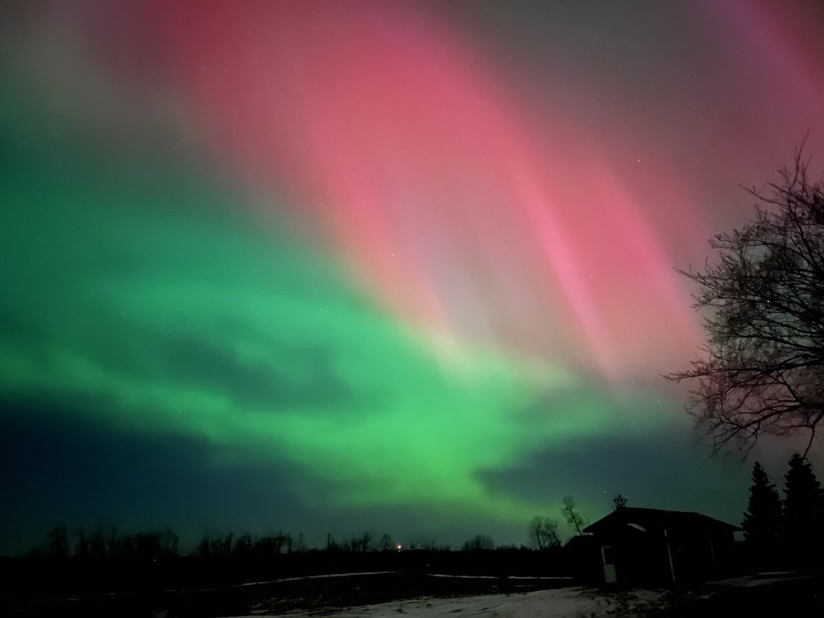 Judy Pedersen (@judypedersen1) on Twitter photo 