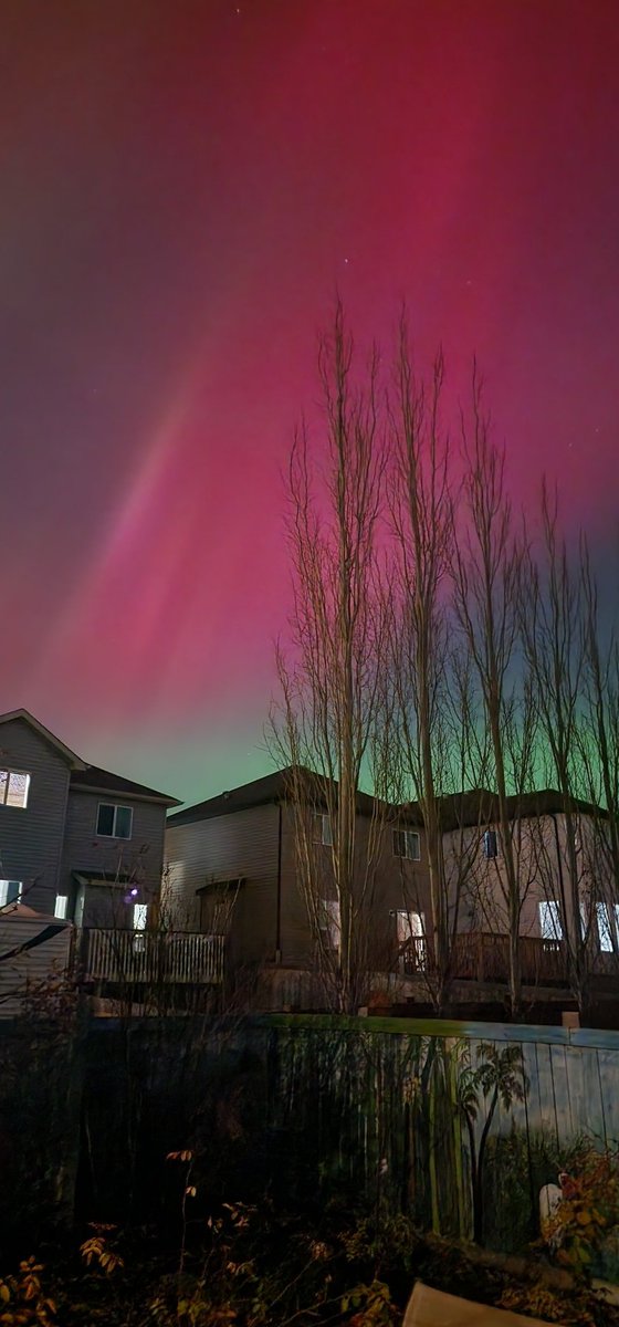 swats24's tweet image. GO OUTSIDE