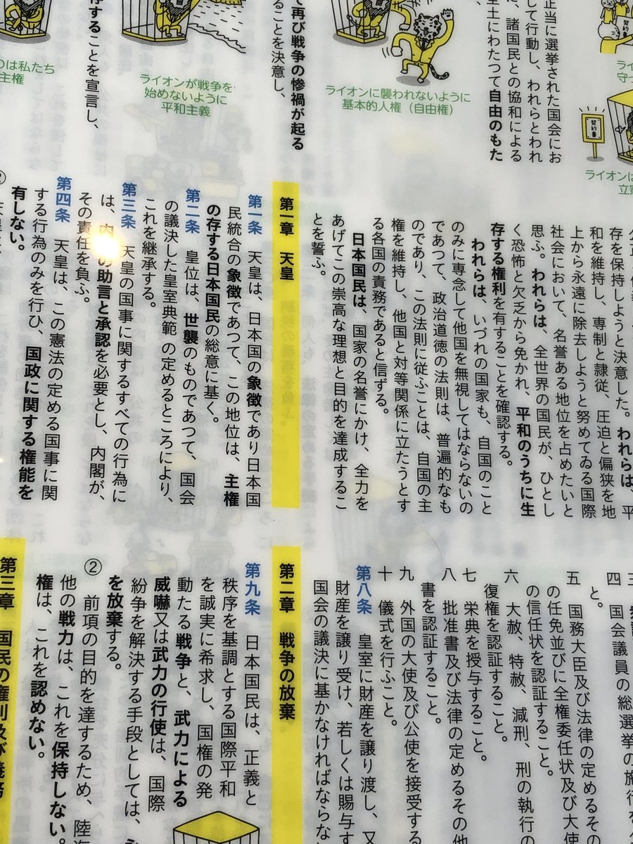 うっちぃ⭐︎れいわ新選組オーナー🐾　政治は暮らし tweet media