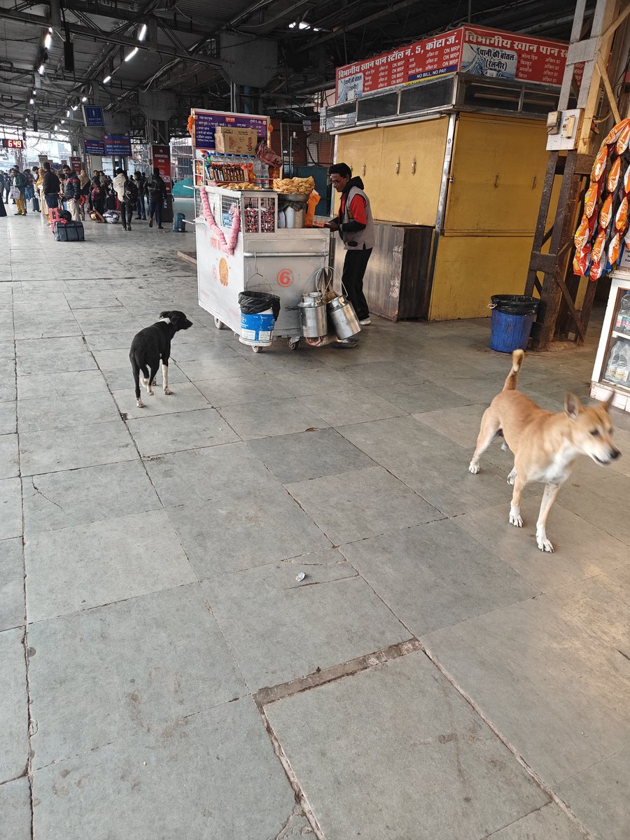 Platform no one Kota Rajasthan at 6.45 AM 12.11.2025