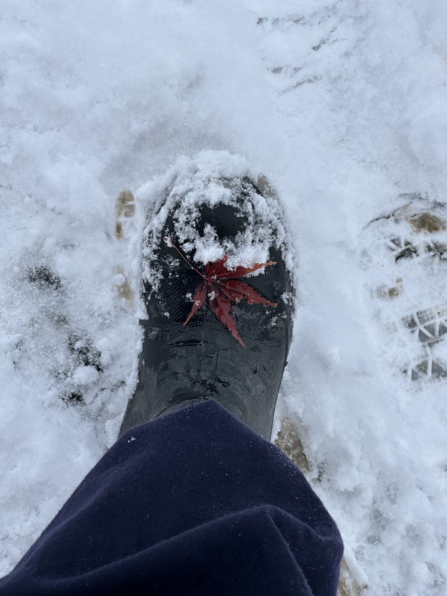 立ってんのもダリィ