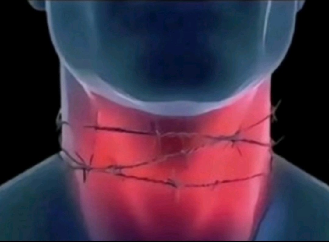 ma todo dia isso todo dia