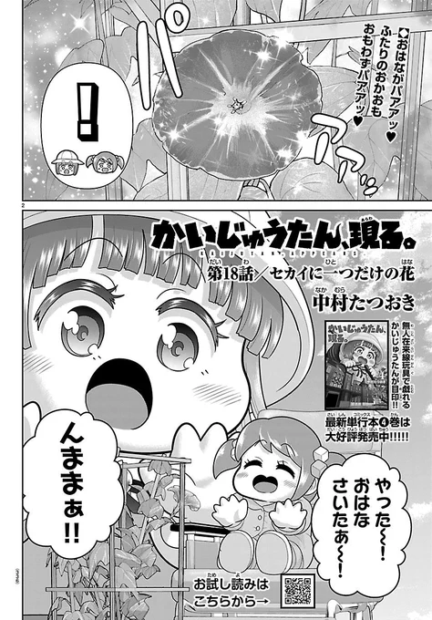 今日発売の別冊少年チャンピオンにかいじゅうたん、現る。18話
『セカイに一つだけの花』が載ってます‼︎📕👑✨
かいじゅうたんがアサガオを一生懸命育てるお話です🌱💧🦖✨
無事アサガオは花を咲かすことができるのでしょうか…?🌸✨🦖✨
是非、よろしくお願いします😌👐✨ 