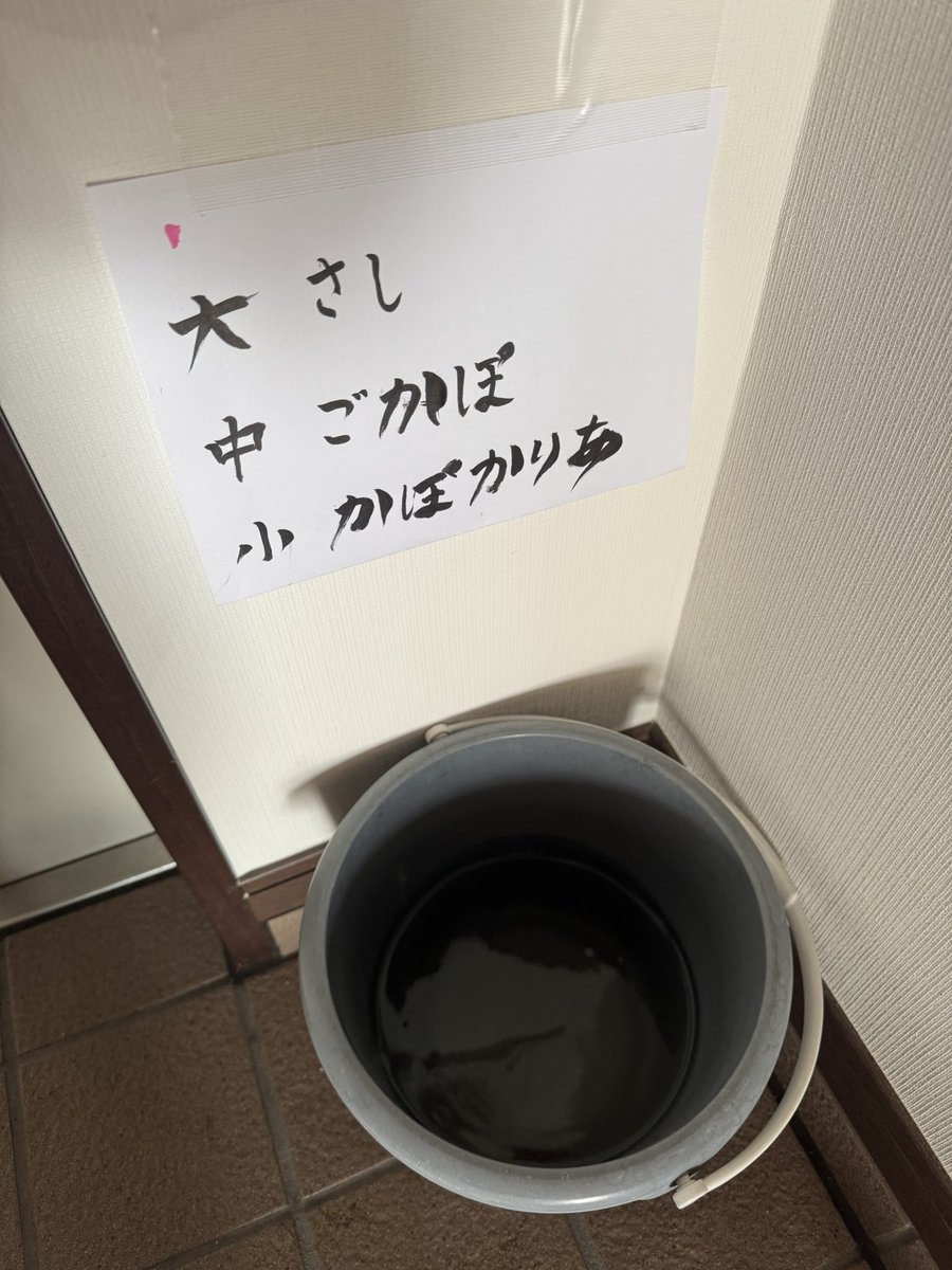 次女が体調を崩して今日は小学校をお休み、長男は朝から幼稚園に行きたくない病が発症…季節の変わり目だからか、なかなか自分のペースで行動できない日々が続きます🫠

お祭りで掬ってきたドジョウ3匹がわりと長生きしておりまして、子どもたちが大きさで区別して命名をしていました。

解せぬ。