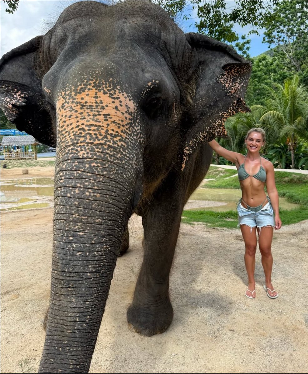 Jodesfx's tweet image. 1994 with my uncle Bobby feeding elephants in Thailand &amp;gt; 2025 reliving the moment!
What a special day with my best friends! My heart is so full love you so much BC 🩶🐘🌴✨