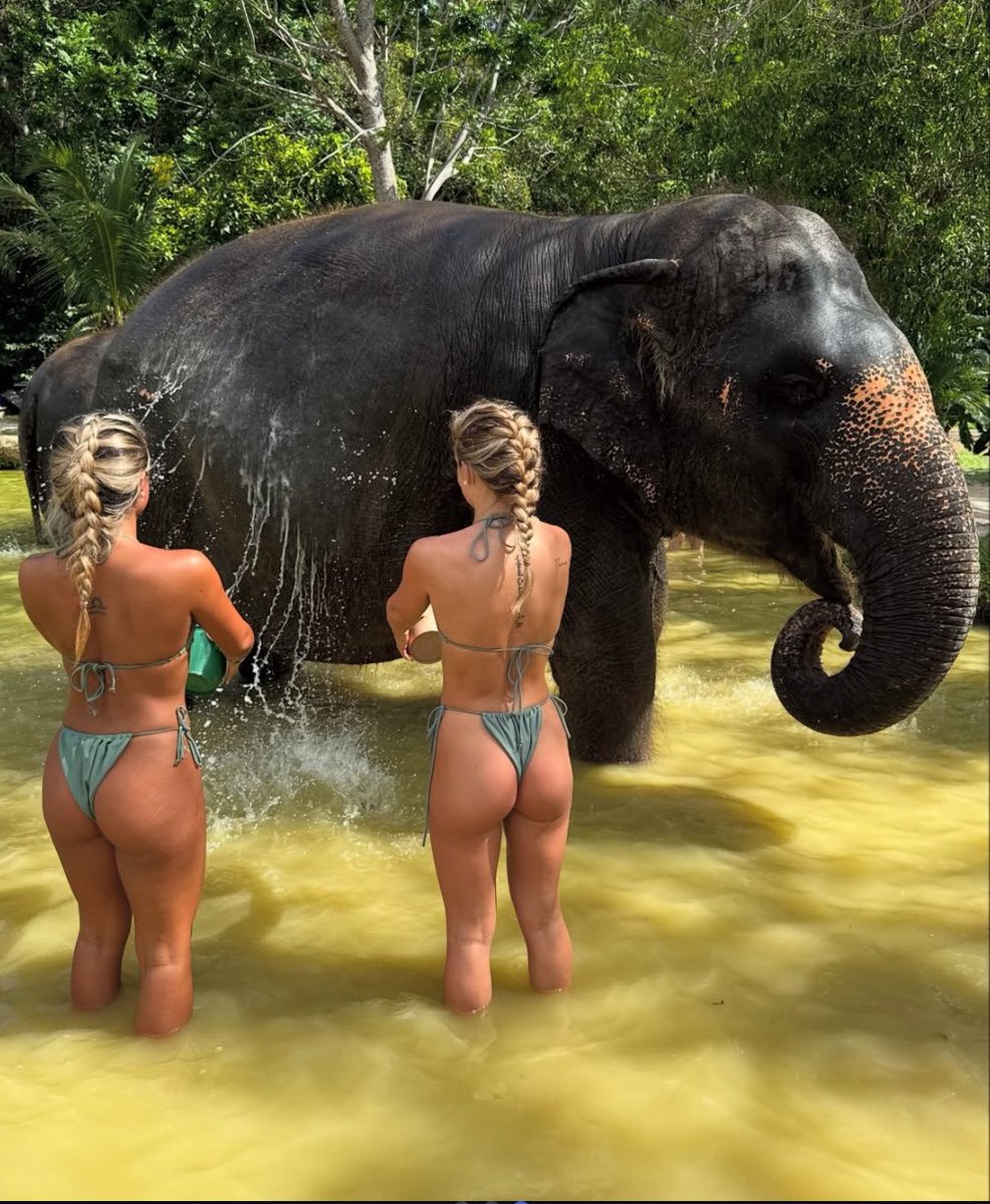 Jodesfx's tweet image. 1994 with my uncle Bobby feeding elephants in Thailand &amp;gt; 2025 reliving the moment!
What a special day with my best friends! My heart is so full love you so much BC 🩶🐘🌴✨