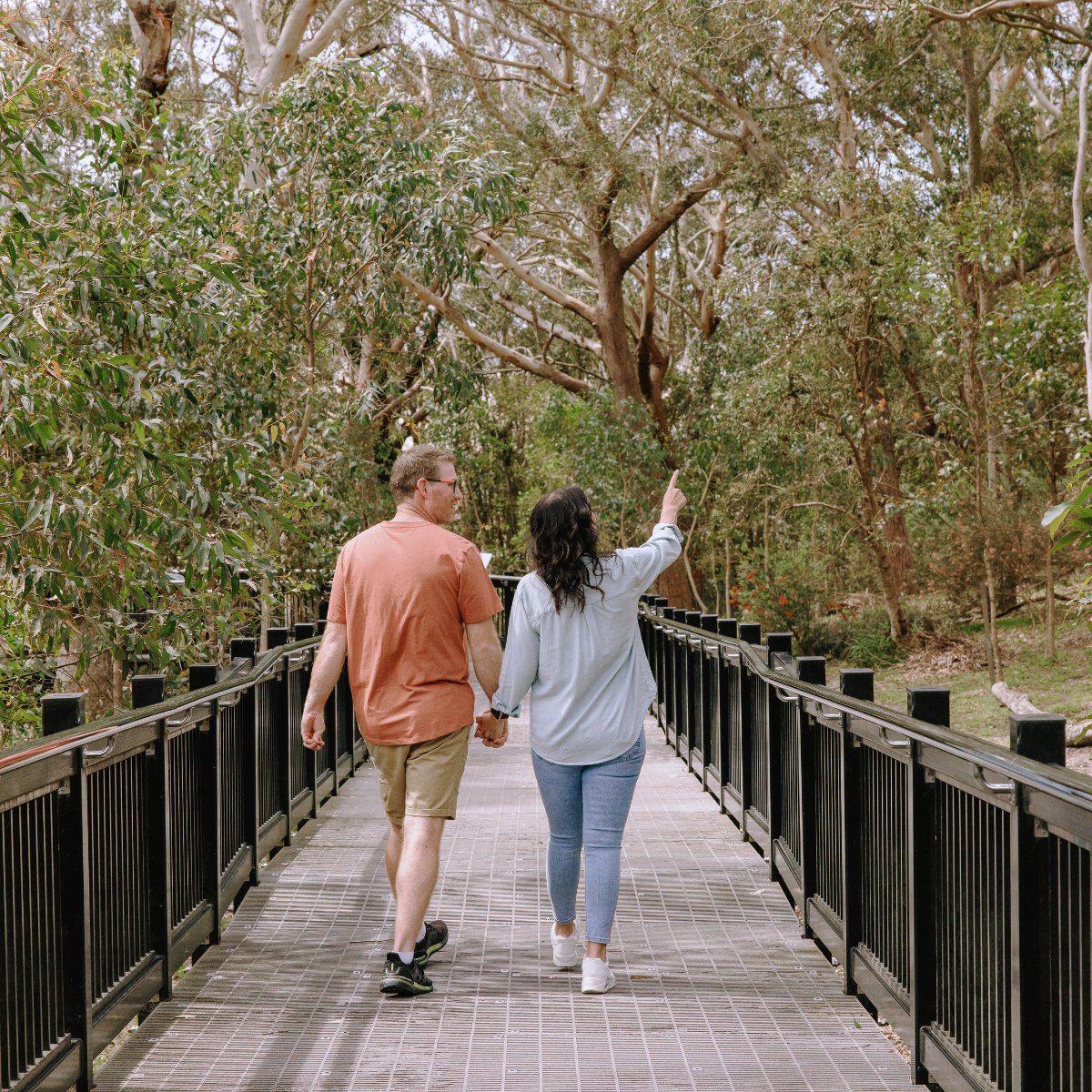A stroll above the treetops 🌳✨

The Sanctuary Skywalk is where you can meet our resident koalas, learn their stories, and it makes for a pretty great date activity too.

Visit our website to get your tickets today!