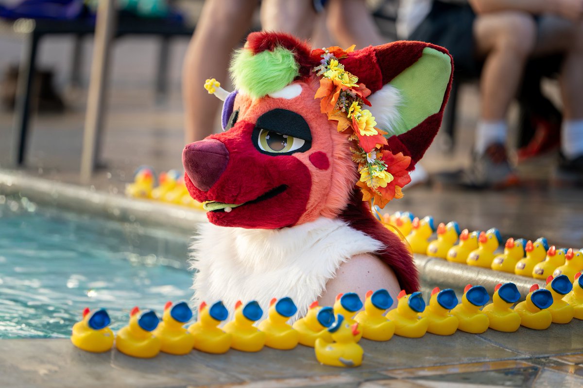 Keeewiiii's tweet photo. ๐ฆ @YeagerBeam
๐ชก @CassMutt
๐ท @keeewiiii
#PAWCon #PAWCon25 #PAWCon2025 #furry #furries #fursuit #fursuiting https://t.co/kZulq02QXs