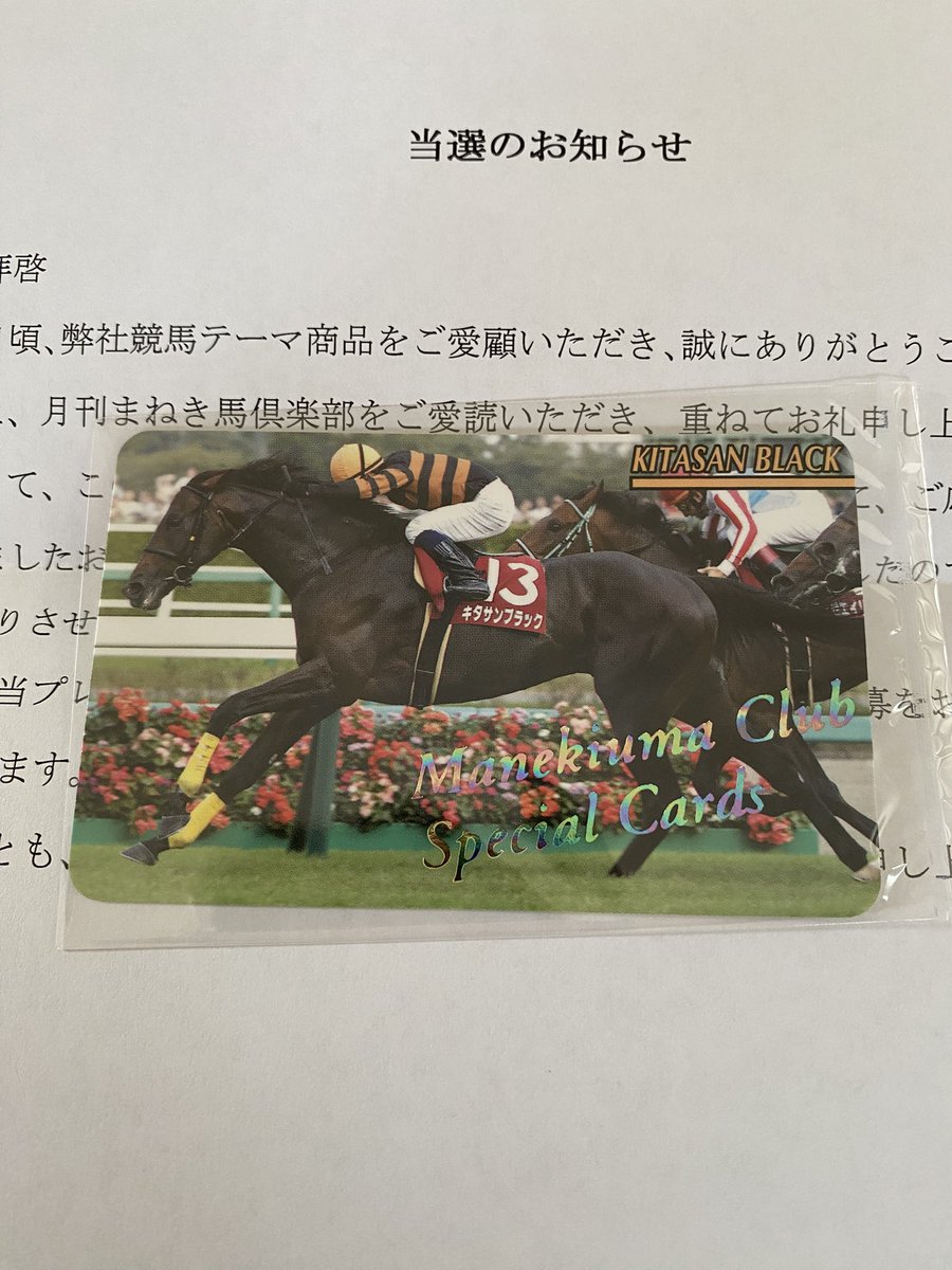 眩しい1枚 おめでとうございます #まねき馬倶楽部 #キタサンブラック