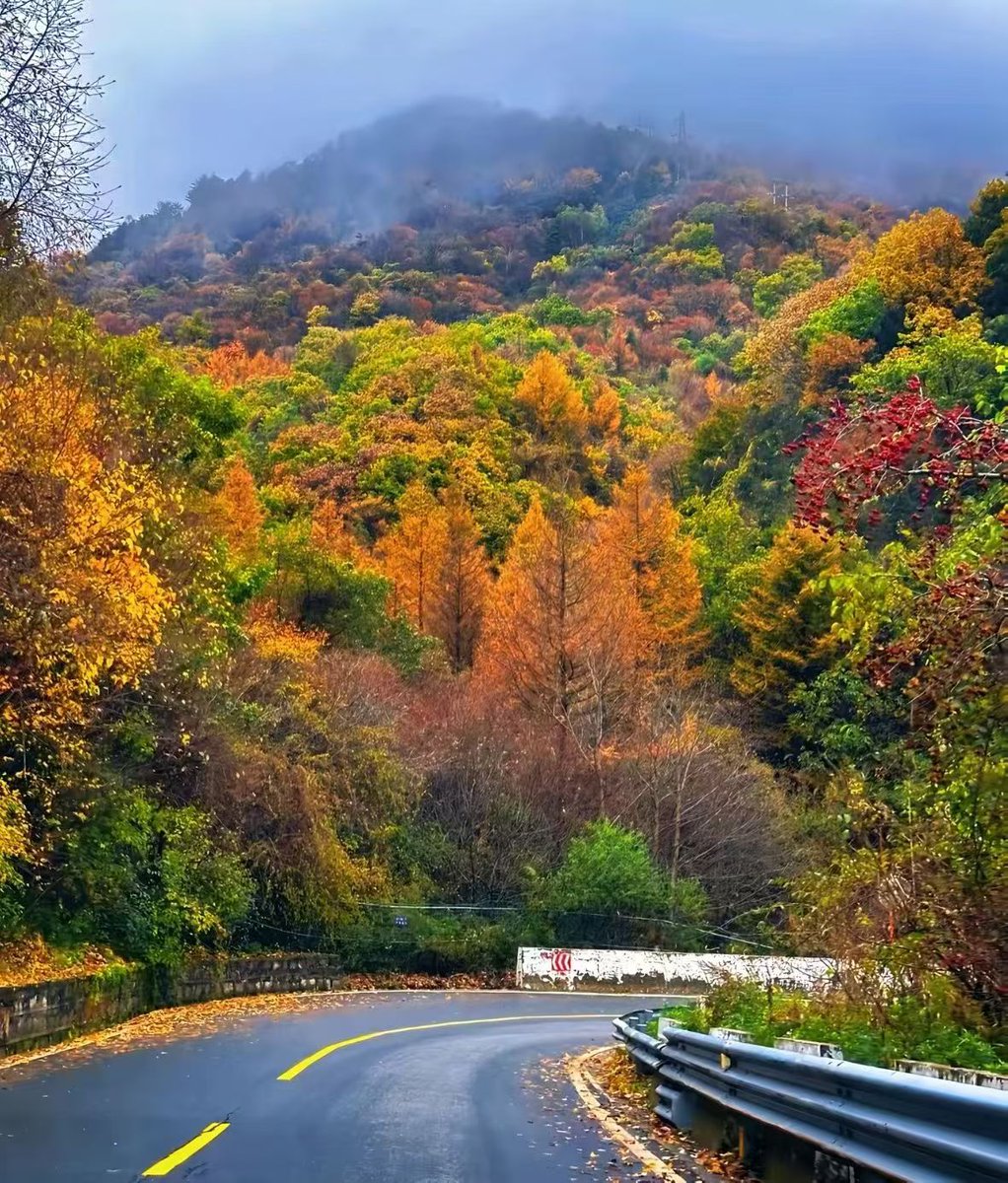 pip 体育｛官网：701.tw｝.jll