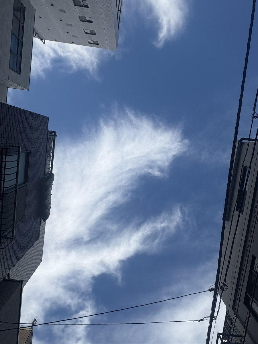 umu_designInc's tweet image. 朝🚗
秋空アート☁️
やや気分屋さんテンドトュー？

#umudesignInc.
#世SOU
#丗SOU