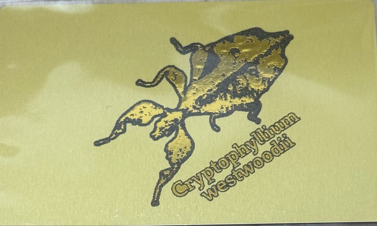 ゆずっち！ on X