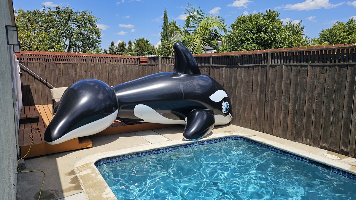Inflatable Landing tweet media