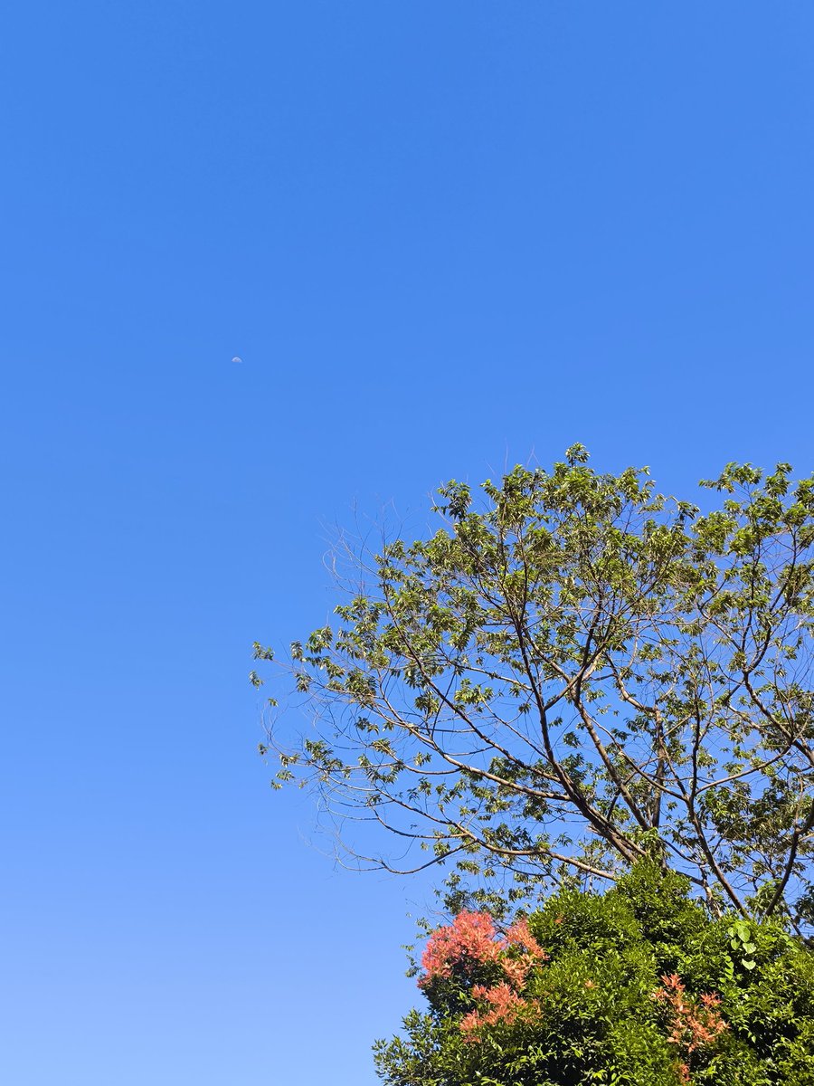 efiram0210's tweet photo. Blue sky 🫰.. https://t.co/1OfYiHMYXH