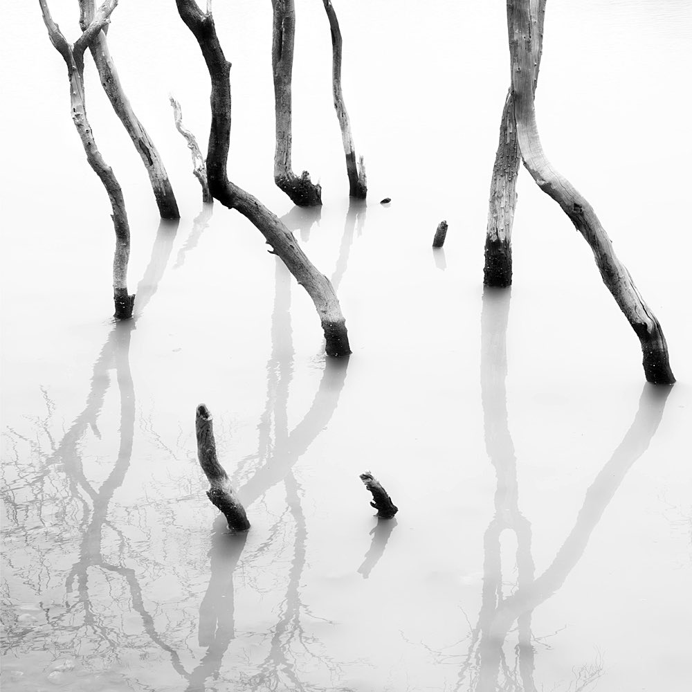 © 2025
➤ Caldera - Kawah Putih 
Camera: OPPO Find 9X Pro
Mode: Hasselblad Hi-Res 50 MP
#hengki_koentjoro_images #hengkikoentjoro  #oppoindonesia #OPPOFindX9Series #ShotonOPPO
<a href="/OPPOIndonesia/">OPPO Indonesia</a>