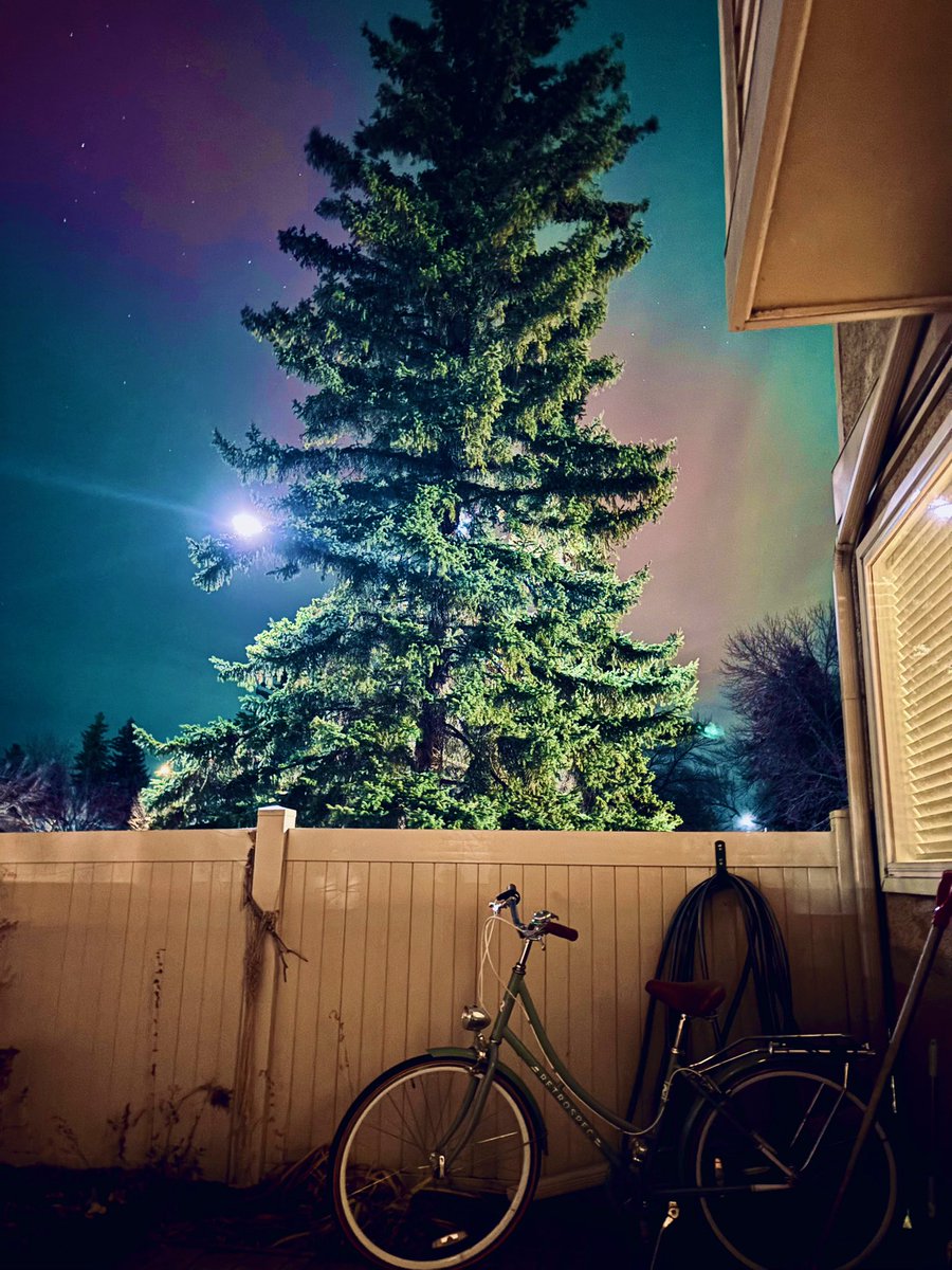 🌾🌾dyatlov pastiche 🌾🌾 tweet media