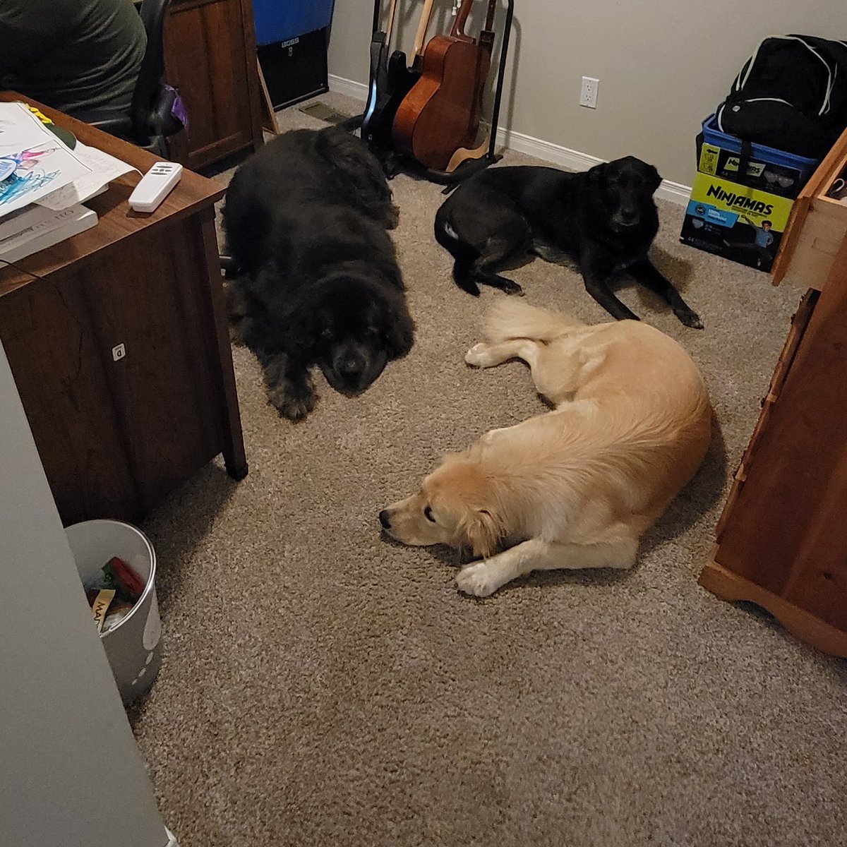 Scott Alexander tweet media