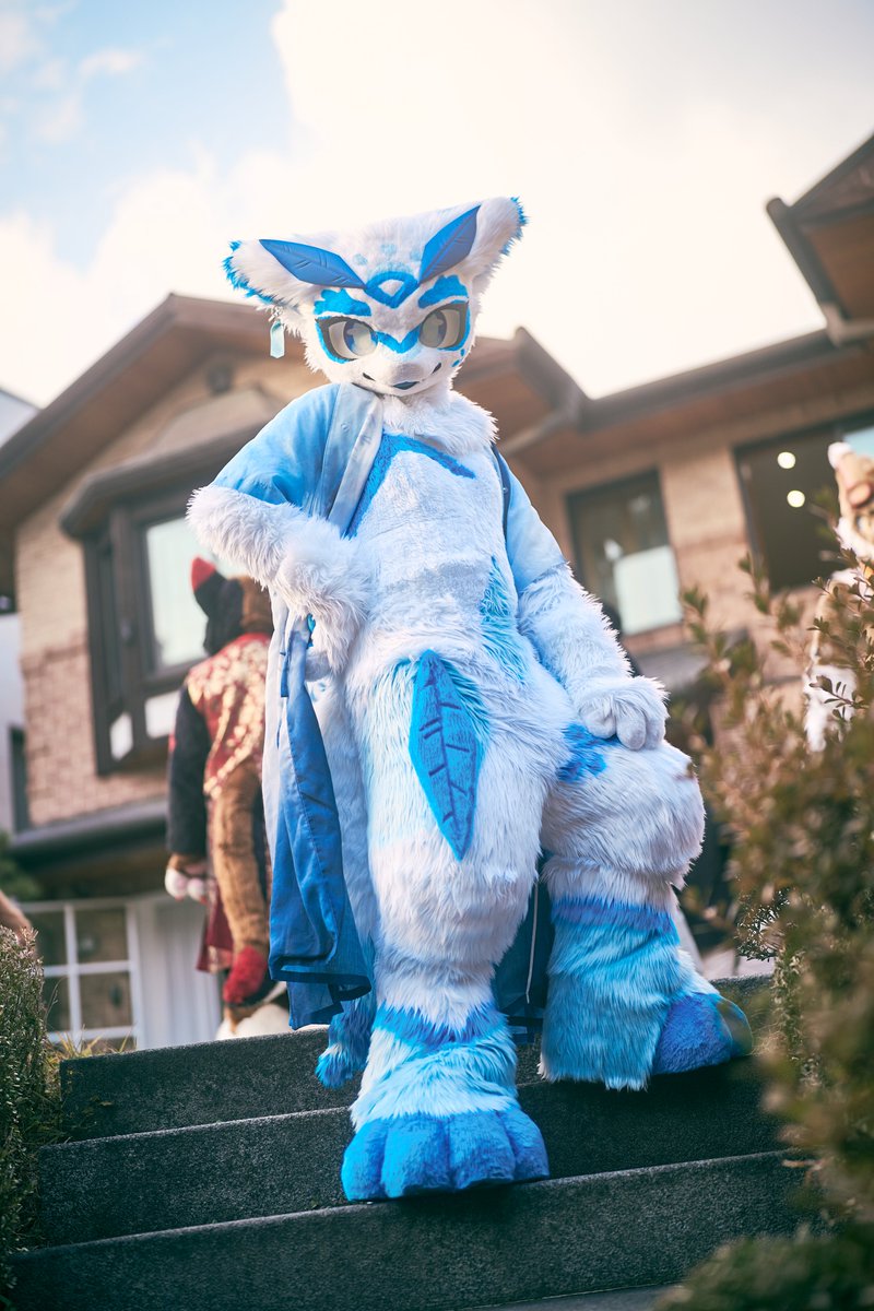 어서 올라와~ 같이 사진 찍고 놀아야지 
#안녕_창호야

#FursuitEveryday #fursuit #青華記