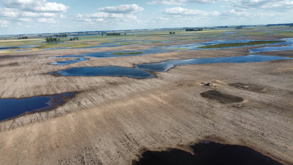 Así las cosas. Campo en Henderson que cambió de plan por excesos hídricos, pasó de Maíz 1ra a Maíz tardío, pero como viene la mano va estar difícil para este último también. La foto es de ayer, hoy llovieron 22 mm más. Campo que generalmente no tiene problemas de inundación.