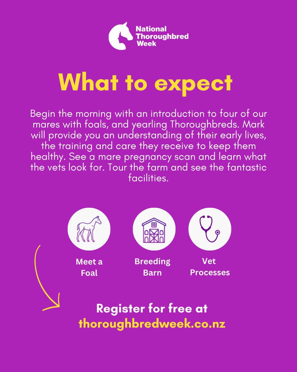 Here’s your chance to meet mums &amp; bubs - of the horsey kind 🐴

<a href="/HaunuiFarm/">Haunui Farm</a> are opening their doors so you can get up close with their horses, &amp; see their resident vet do pregnancy scans to monitor the health of their broodmares. 

Entry is free, registration essential.