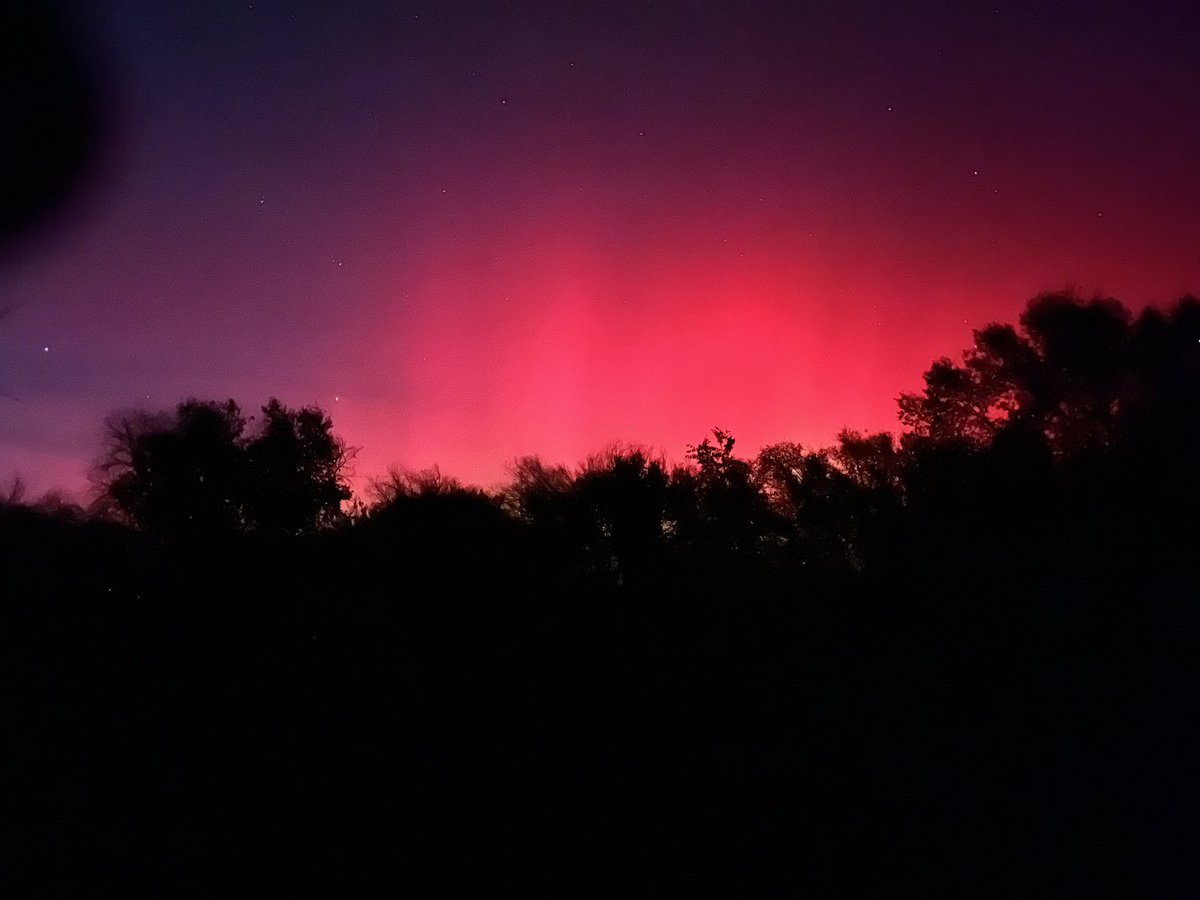 Bigfoot Slayer (@shawn6500645761) on Twitter photo 