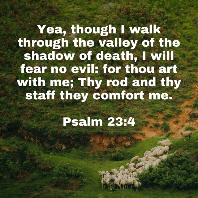PRAYALTAR's tweet photo. Evening Meditation https://t.co/Z21E5PqreR