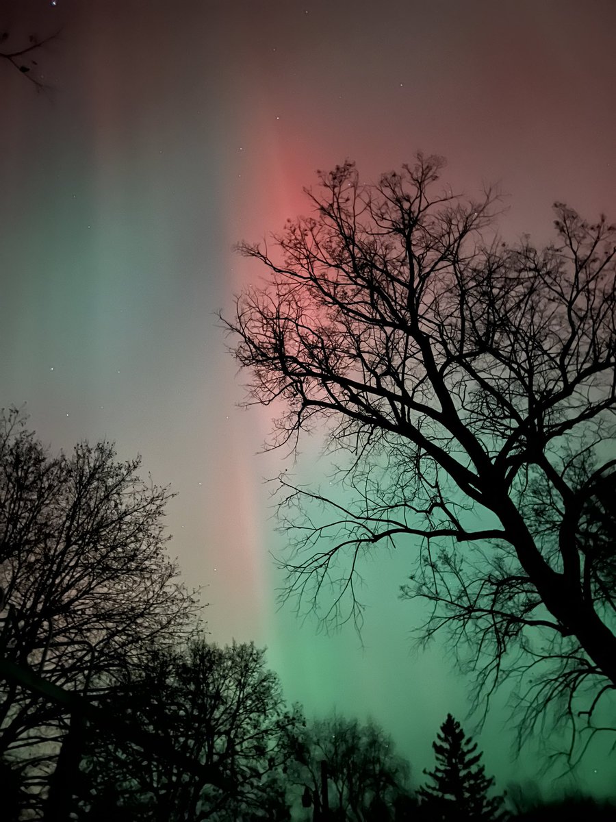 Darrell Olson tweet media