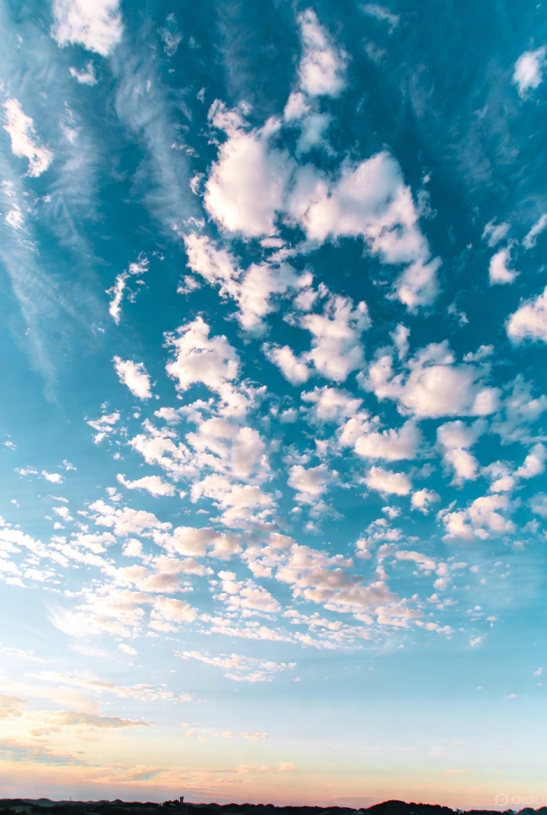 it_o_en_llc's tweet image. 今日は晴れましたね！
気温は低めで寒いですが…。
ピーカンに晴れてほしいです。

乾燥も気になる季節、
インフルエンザも流行中なので
加湿＋外出時はマスクで
しっかり予防していきましょう！

#企業公式相互フォロー祭り
#企業公式秋のフォロー祭り