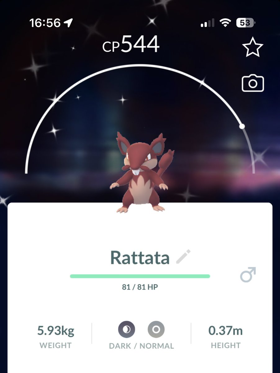 MacModeIRL's tweet image. First I got the Kitty, now the Mouse! 😮