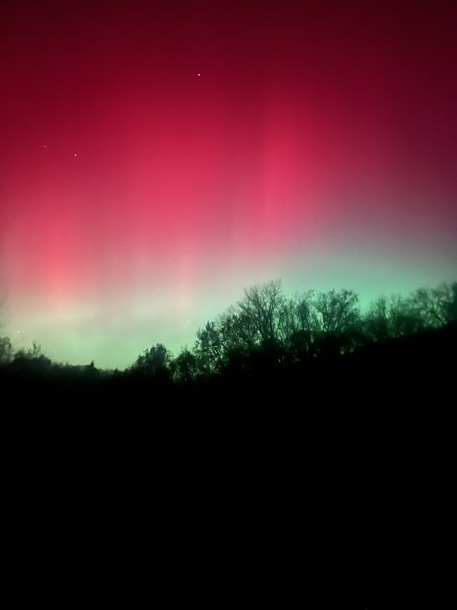 Natasha Carter tweet media