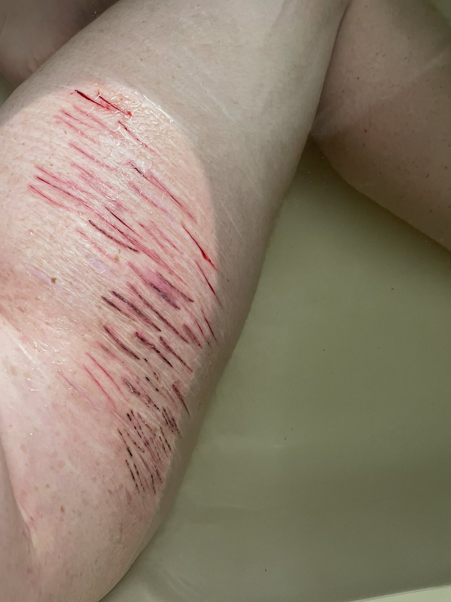 Cowabummer tweet media