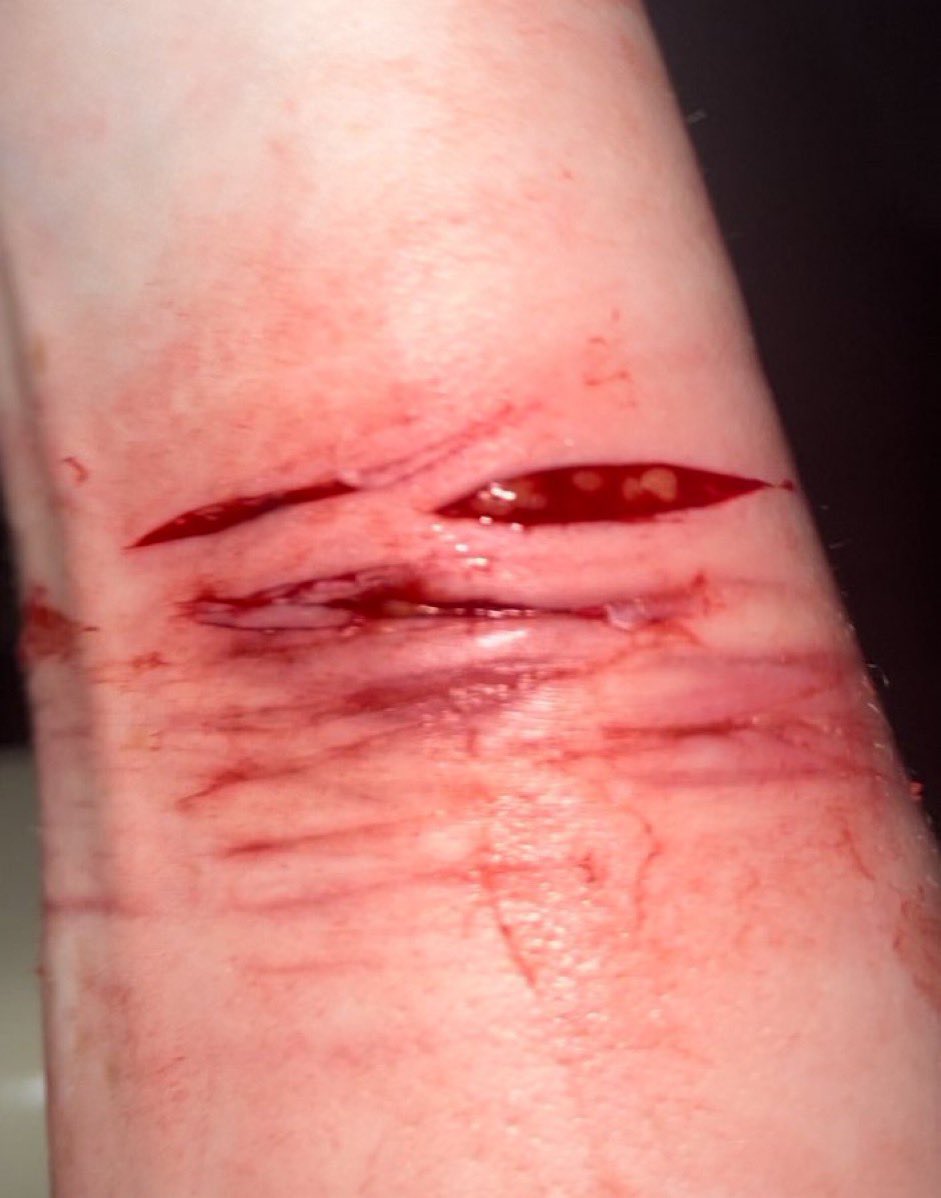 Cowabummer tweet media