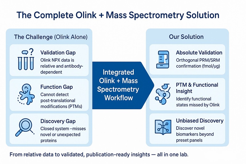 CDProteomics's tweet image. Targeted panels miss novel proteins. MS alone lacks throughput. This compromise limits discovery. We bridge the gap by integrating #Olink screening with LC-MS/MS validation and discovery in one workflow. Learn more. olinkpanel.creative-proteomics.com/integrated-oli… #MassSpectrometry