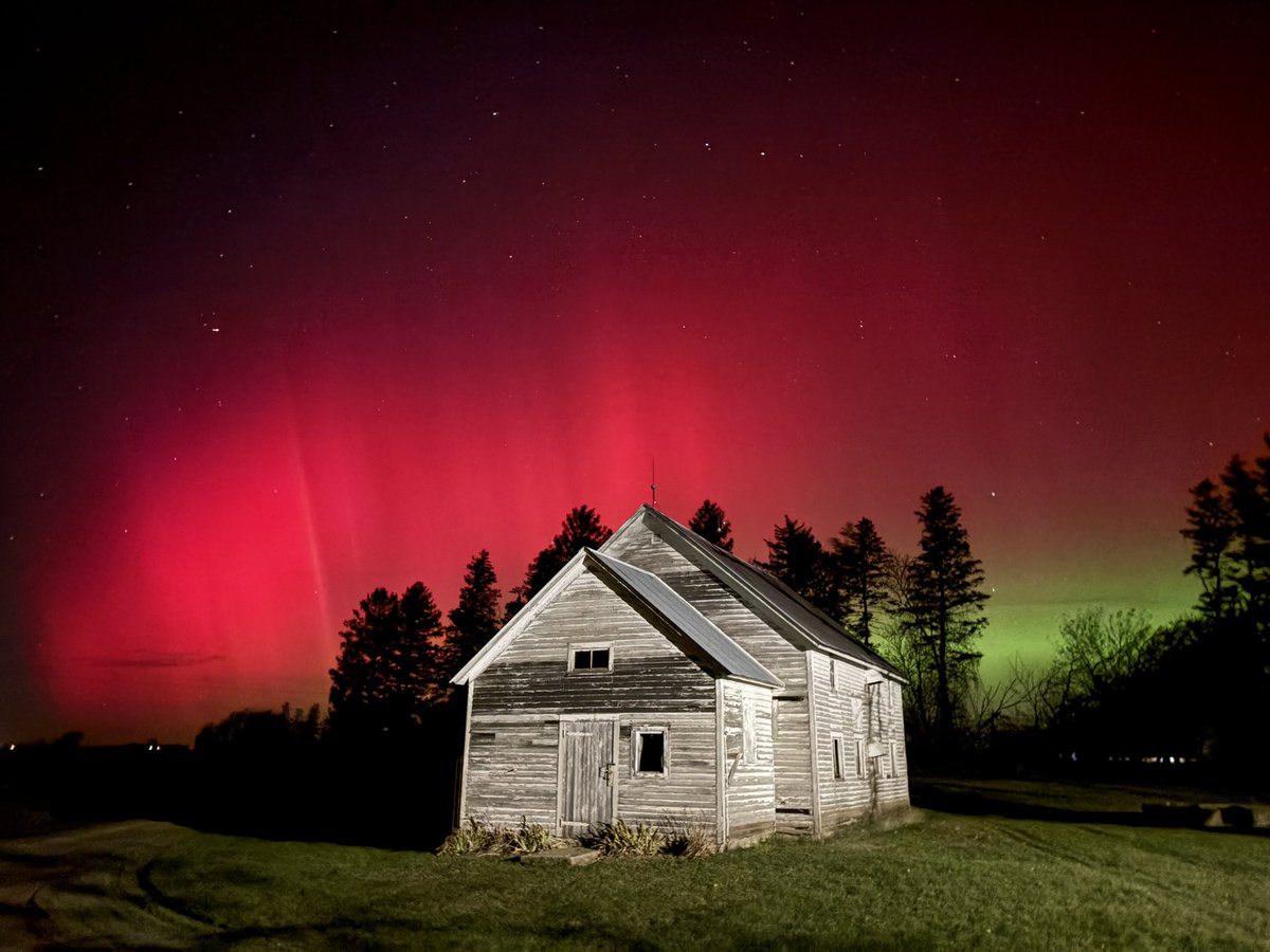 Laura Hofmeister tweet media