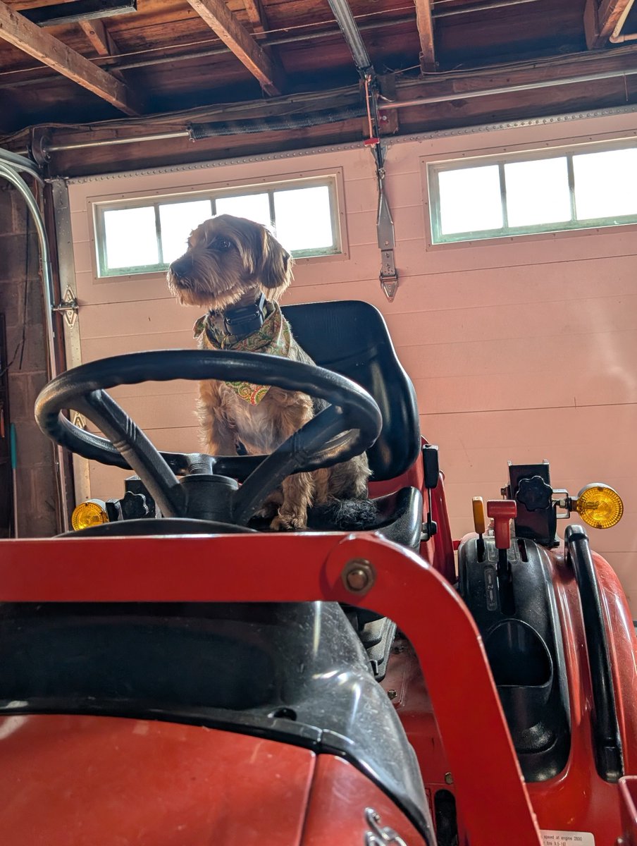 Hello everyone, Charlie here.  I'm ready to roll.